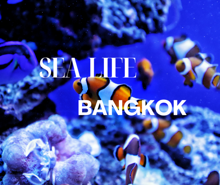 Sea life Bangkok Ocean World