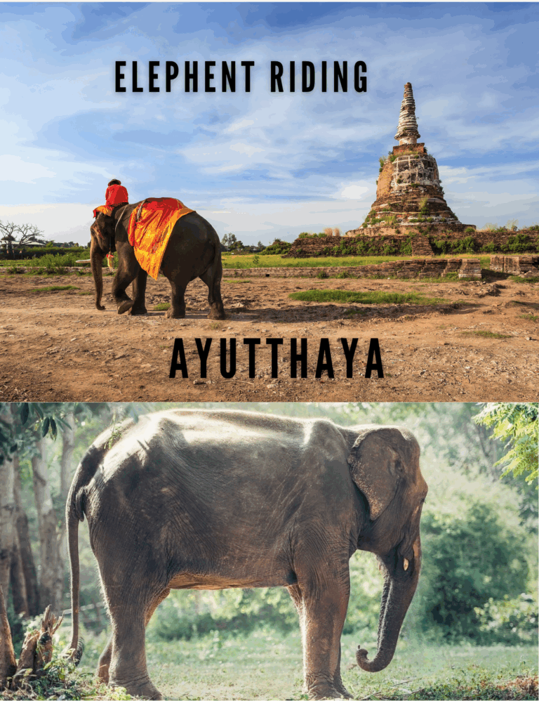 Ayutthaya Elephant & Royal Kraal